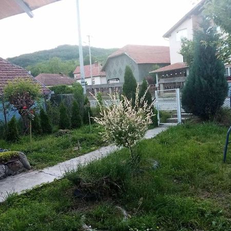 Apartmani Lina Ribarska Banja Exterior foto